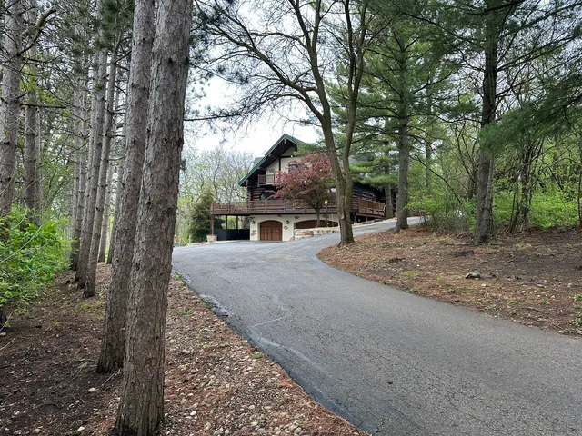 a view of a park with large trees