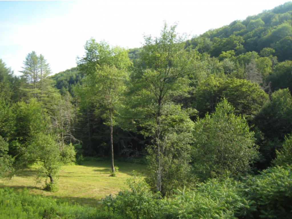 91 Clarksville Road Tunbridge, VT 05068 - Photo 15 of 24