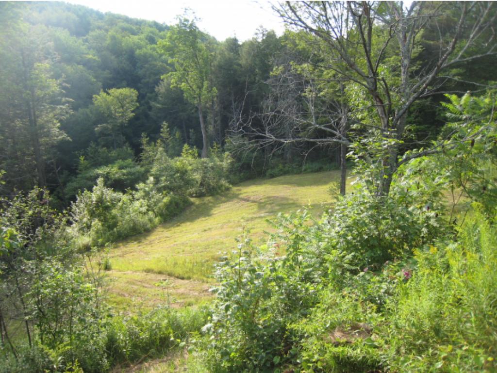91 Clarksville Road Tunbridge, VT 05068 - Photo 16 of 24