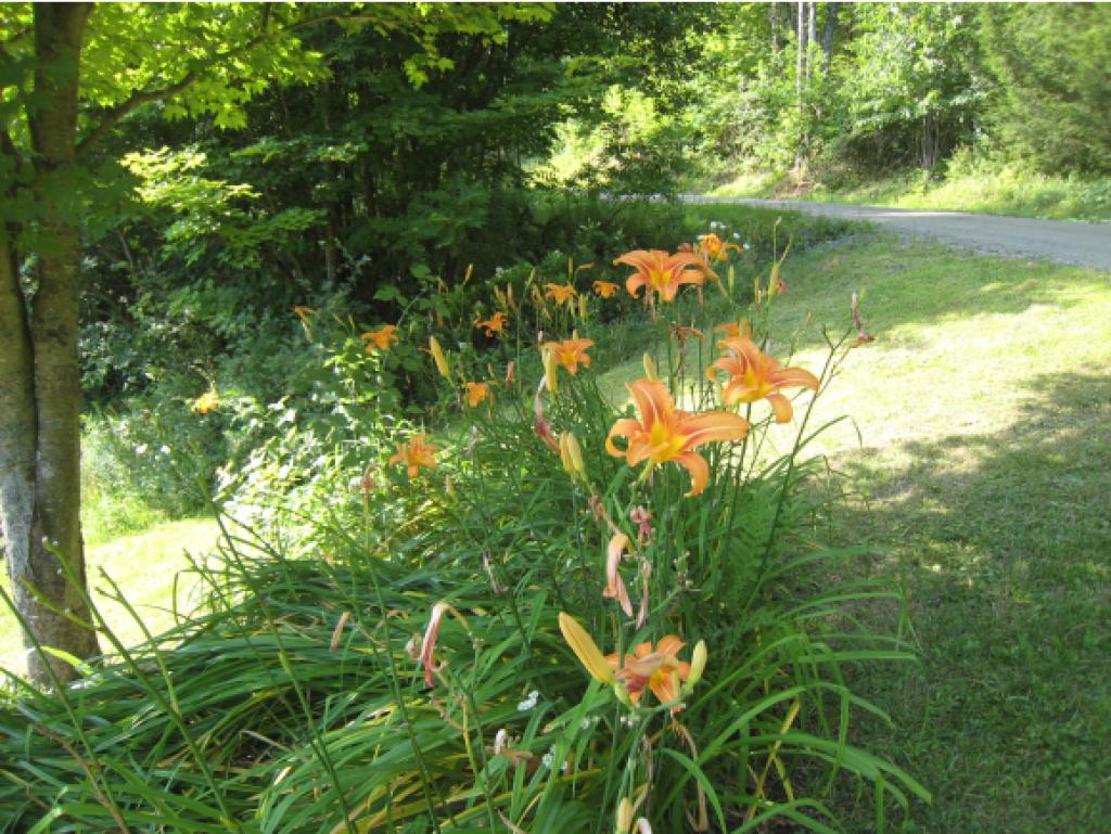 91 Clarksville Road Tunbridge, VT 05068 - Photo 18 of 24
