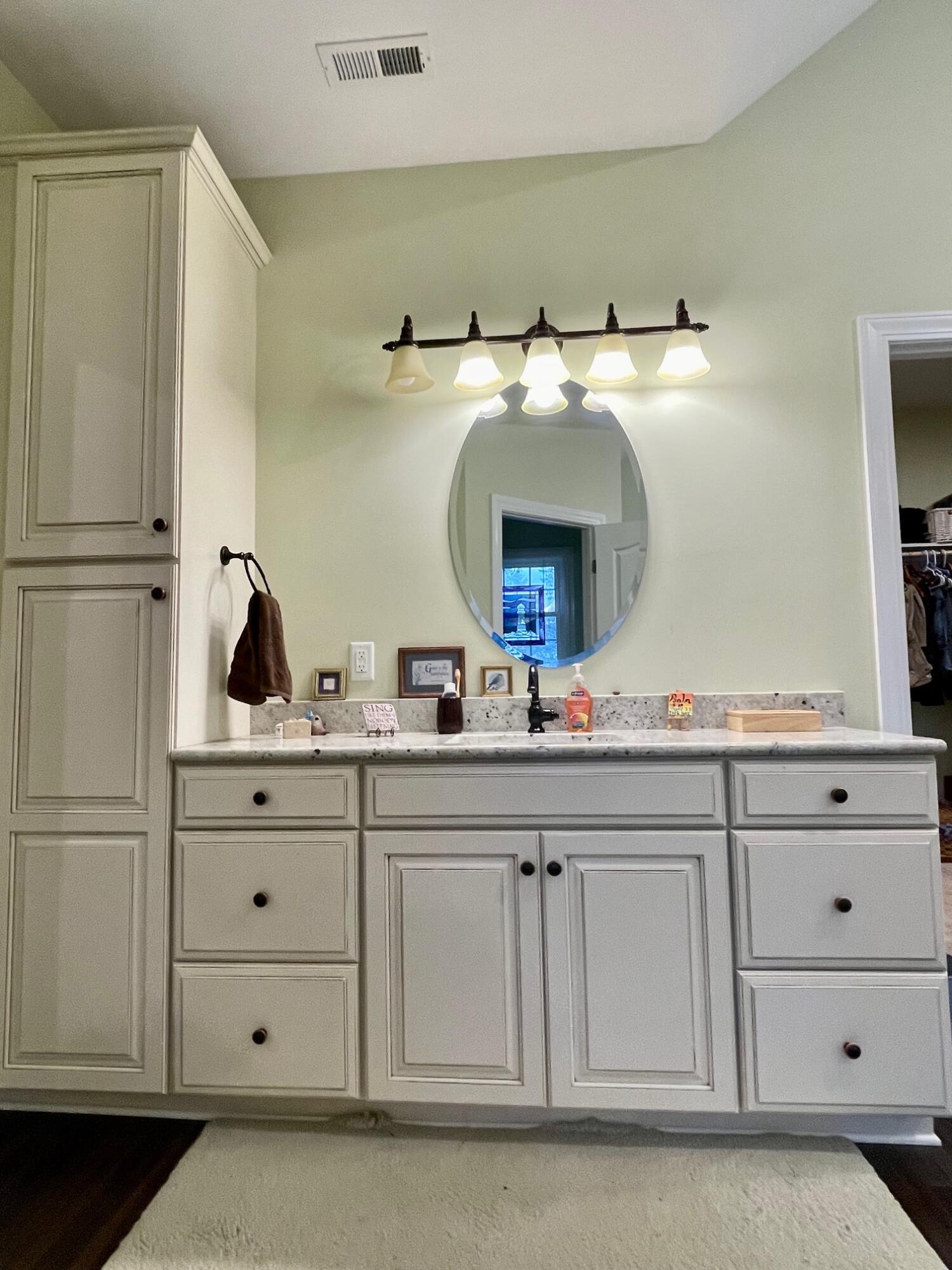 64 Hickory Ridge Court Blue Ridge, VA 24064 - Photo 30 of 61 a bathroom with a sink vanity and mirror