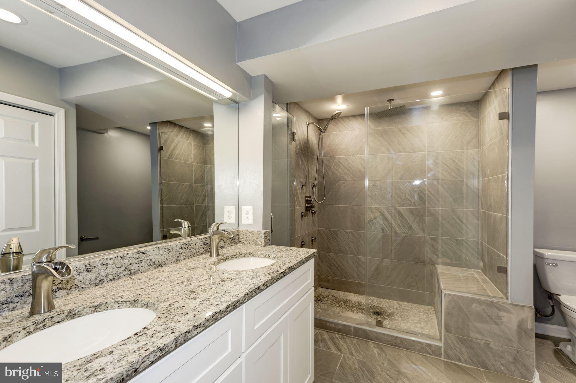 9807 Cherry Tree Lane Silver Spring, MD 20901 - Photo 29 of 46 Stunning Full Bath