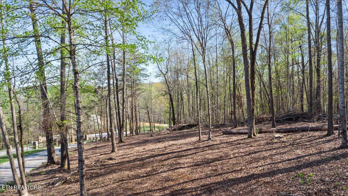 Lot 14 Demory Road La Follette, TN 37766 - Photo 13 of 20 12-Demory Rd