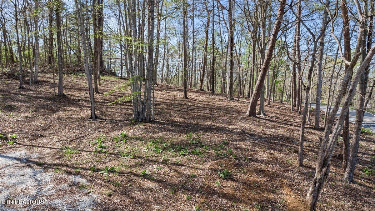Lot 14 Demory Road La Follette, TN 37766 - Photo 14 of 20 13-Demory Rd