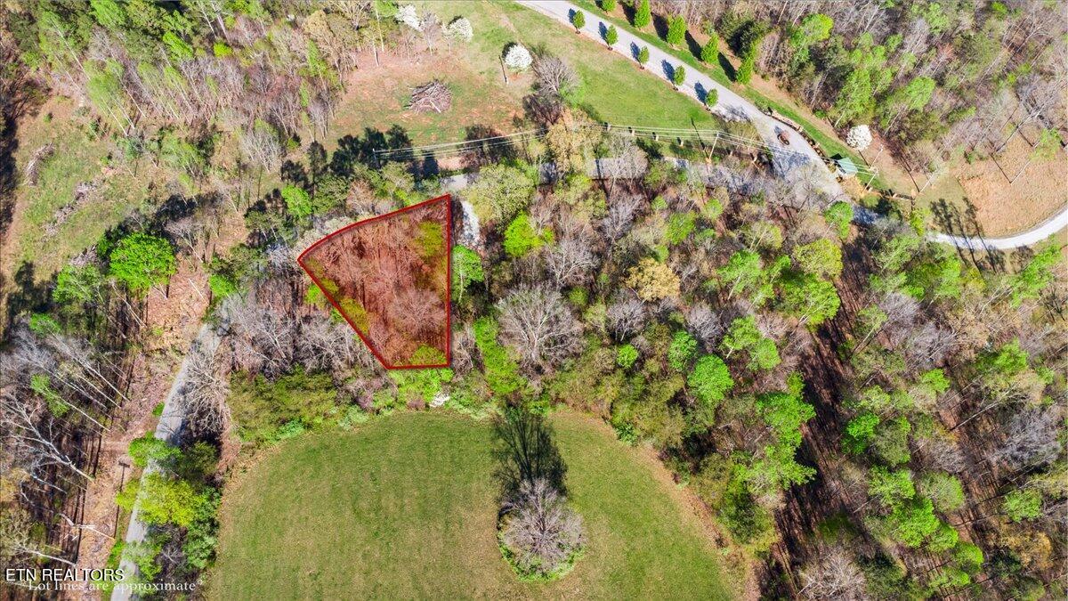 Lot 14 Demory Road La Follette, TN 37766 - Photo 20 of 20 Lot 14