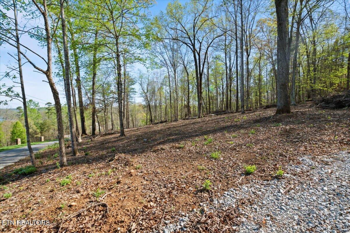 Lot 14 Demory Road La Follette, TN 37766 - Photo 5 of 20 04-Demory Rd
