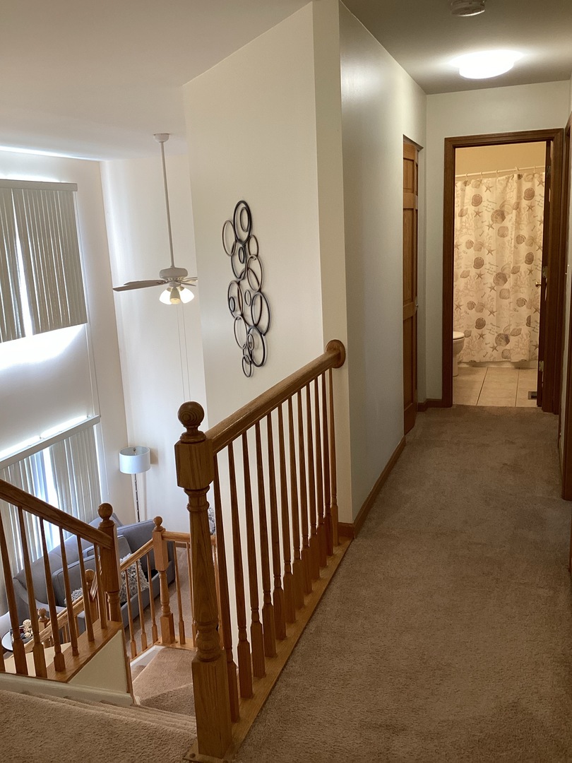 436 Anna Lane Romeoville, IL 60446 - Photo 18 of 32 Gallery Image 18