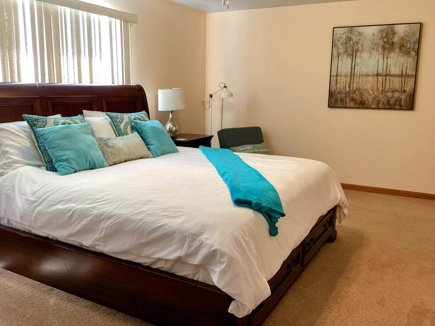 436 Anna Lane Romeoville, IL 60446 - Photo 21 of 32 Gallery Image 21