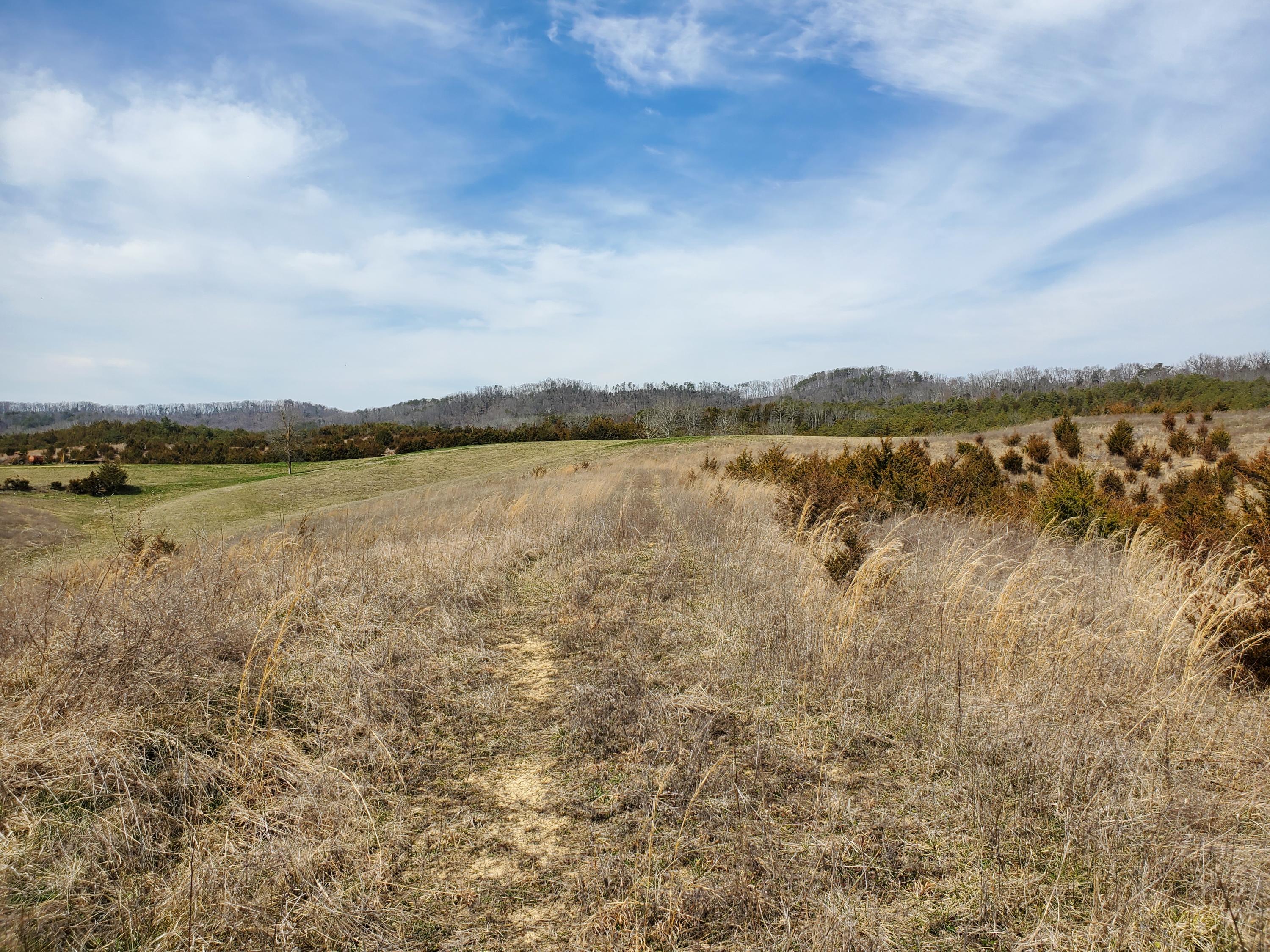 2300 Mountain Valley Road Mohawk, TN 37810 - Photo 2 of 9 20210309_122657 (1)