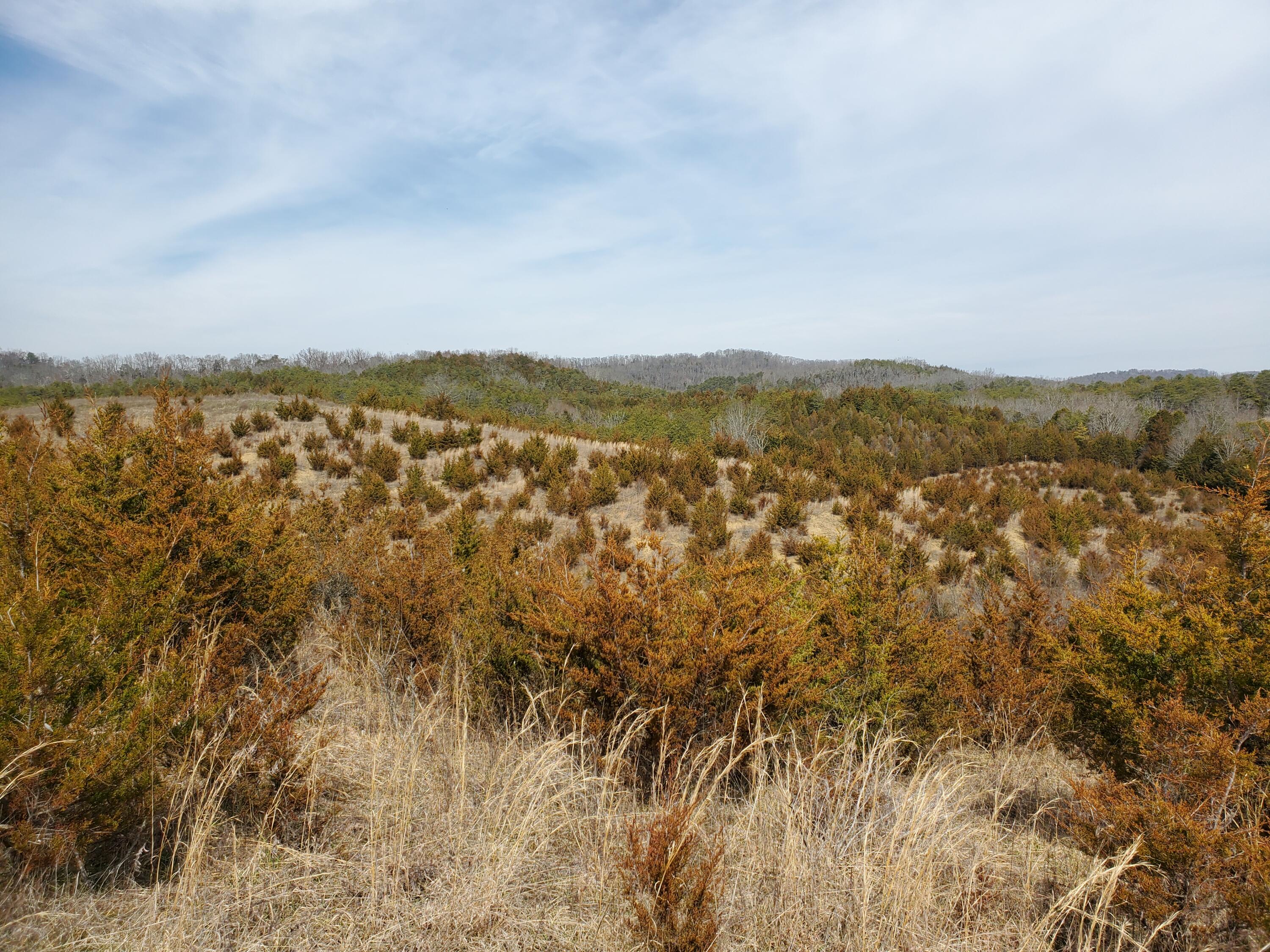 2300 Mountain Valley Road Mohawk, TN 37810 - Photo 3 of 9 20210309_122636