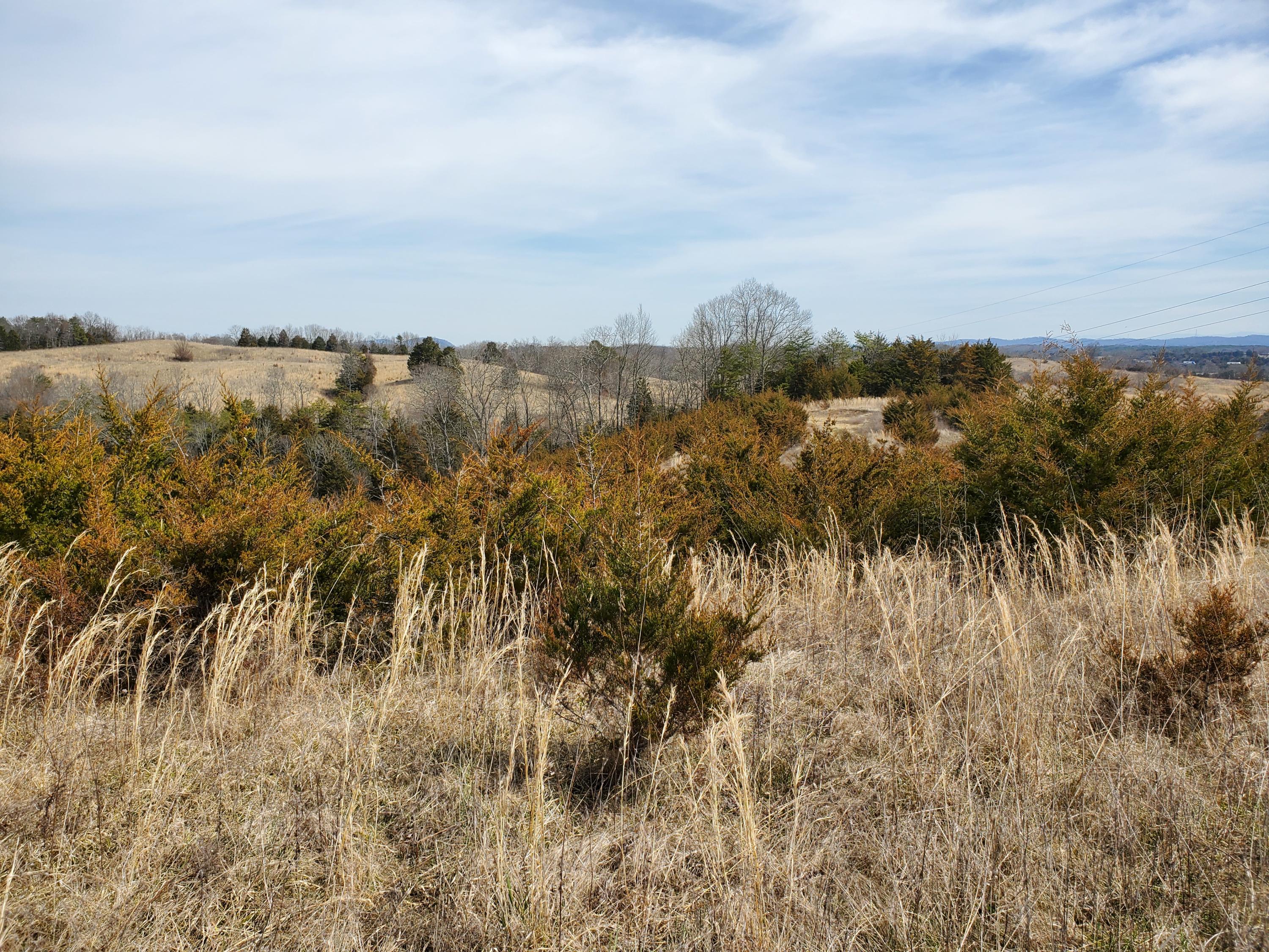 2300 Mountain Valley Road Mohawk, TN 37810 - Photo 5 of 9 20210309_122727