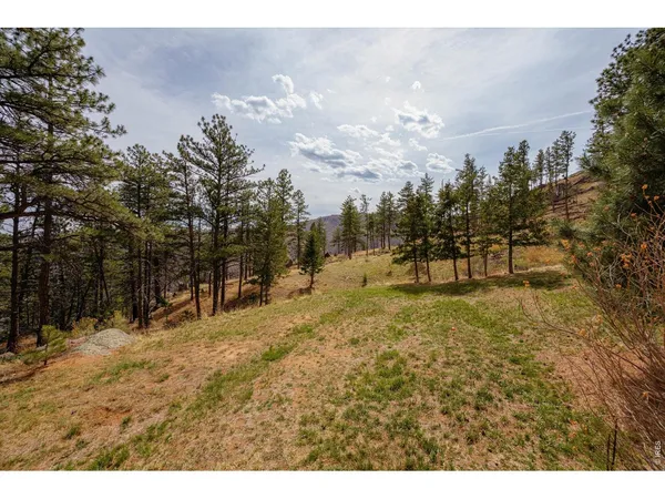 $769,000 | 842 Unger Mountain Road, Bellvue, CO 80512