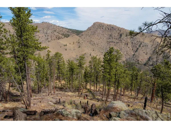 $769,000 | 842 Unger Mountain Road, Bellvue, CO 80512