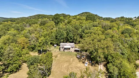 a view of a forest with a mountain