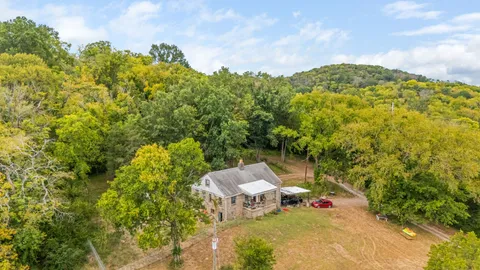 a view of a small yard with potted plants