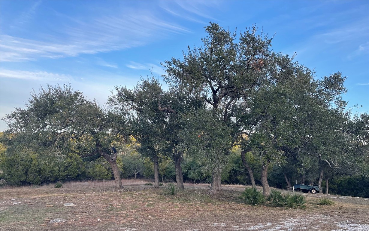 820 Sundown Trail Fischer, TX 78623 - Photo 2 of 4 a view of a forest filled with trees