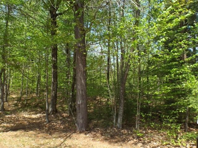 37 Abenaki Acres Road Naples, ME 04055 - Photo 24 of 33 Back yard is private and surrounded...