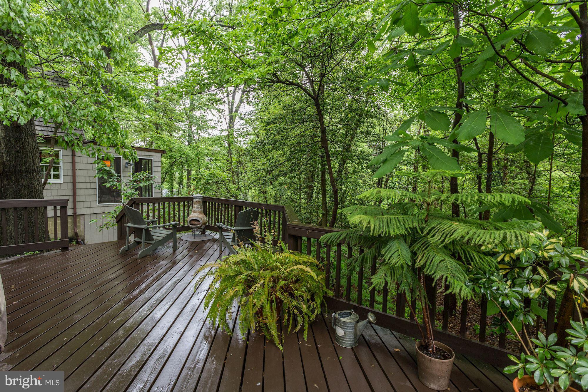 307 Old County Road Severna Park, MD 21146 - Photo 22 of 30 Amazing Deck Overlooking .43 Acre Secluded Lot