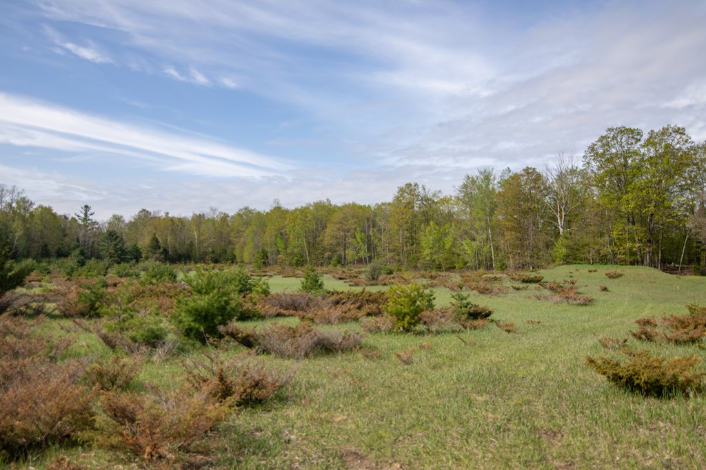 Lot 31 County Road Fish Creek, WI 54212 - Photo 5 of 7