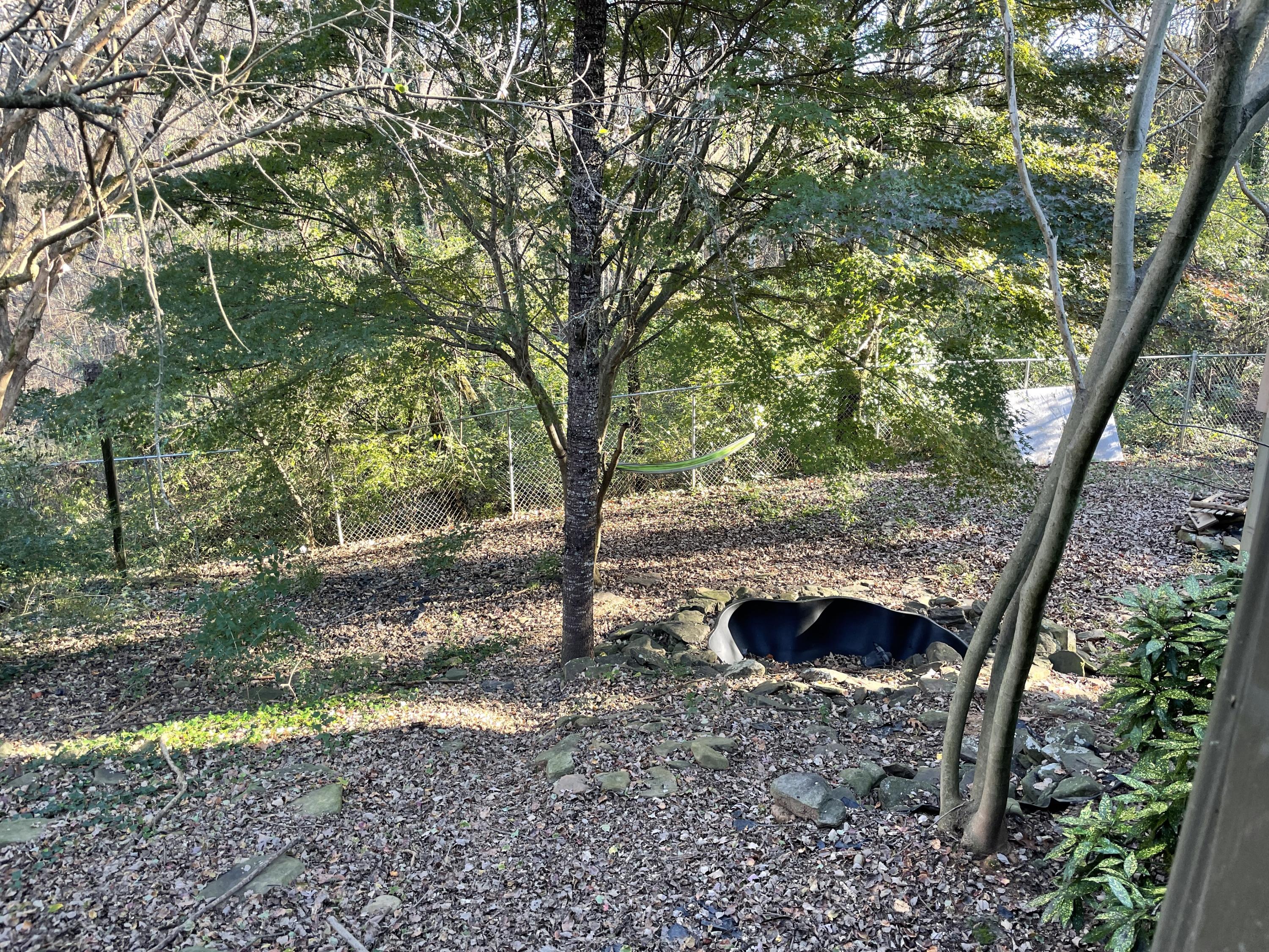 110 Orange Lane Oak Ridge, TN 37830 - Photo 2 of 9 IMG_4224