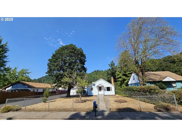 a black and white photo of a park