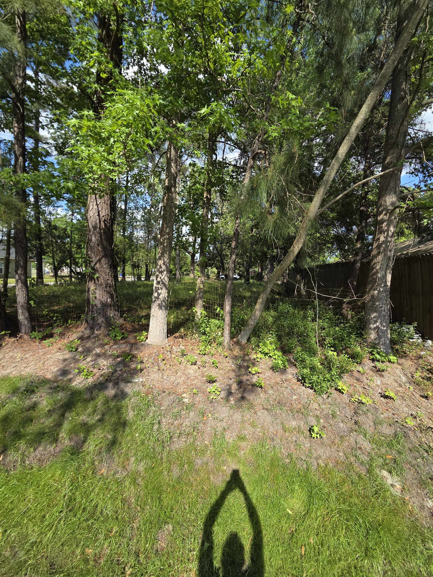 1408 Green Street Conway, SC 29527 - Photo 5 of 5