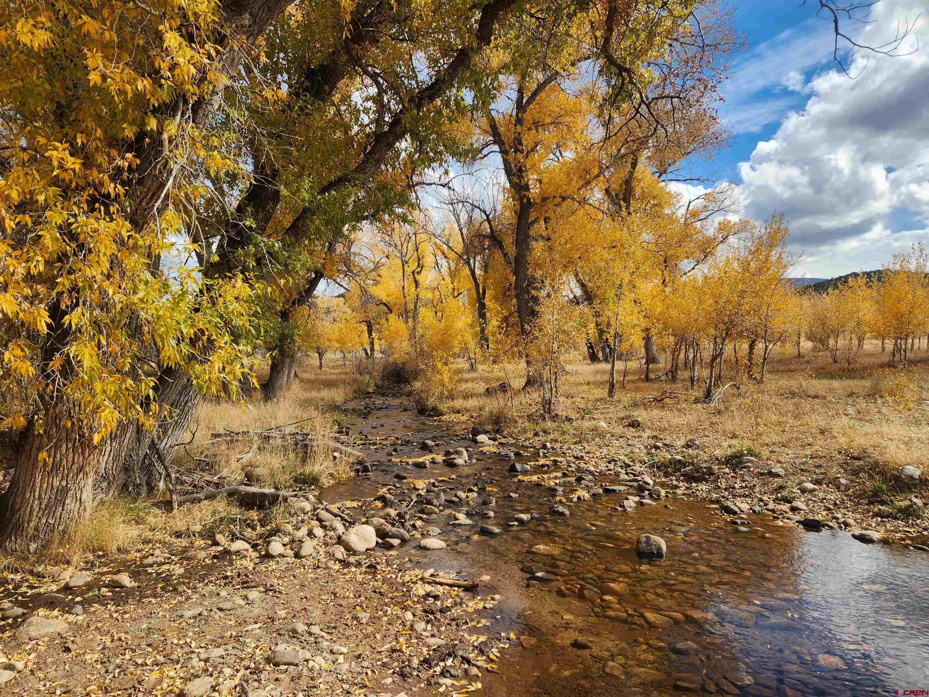 a view of covered with green space