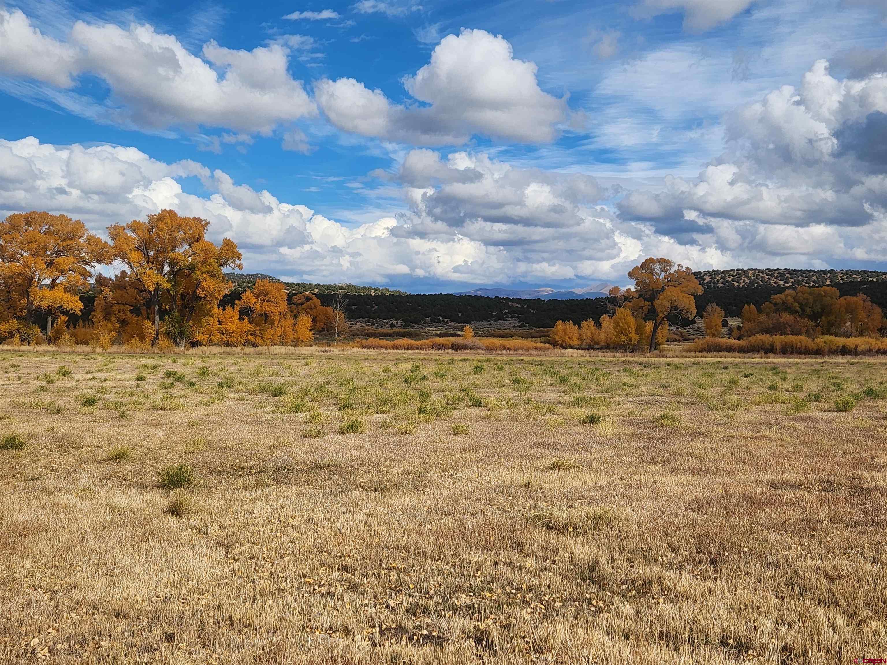 23227 County Road J.2 San Luis, CO 81152 - Photo 11 of 16