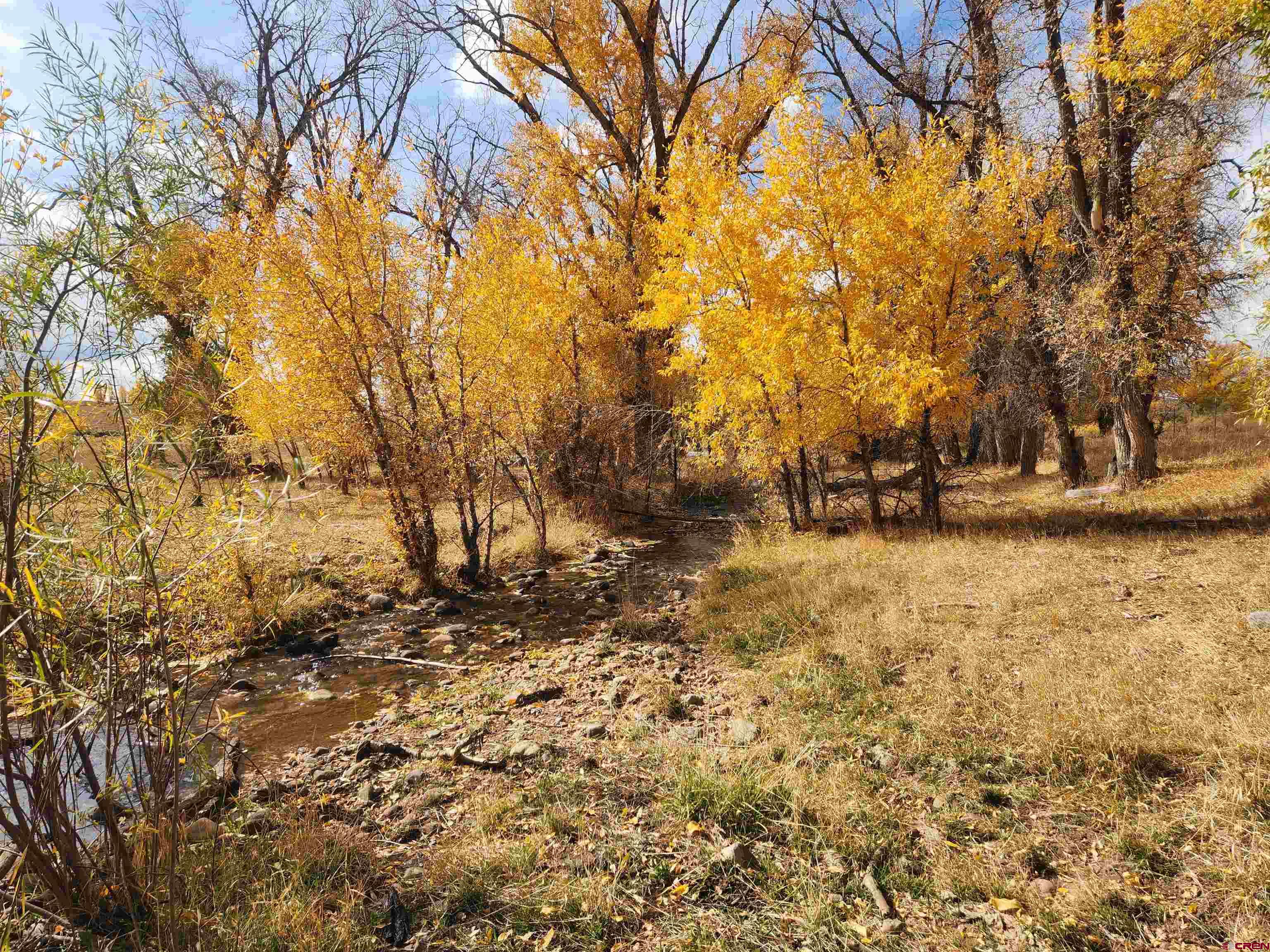 23227 County Road J.2 San Luis, CO 81152 - Photo 8 of 16 a view of outdoor space with yard