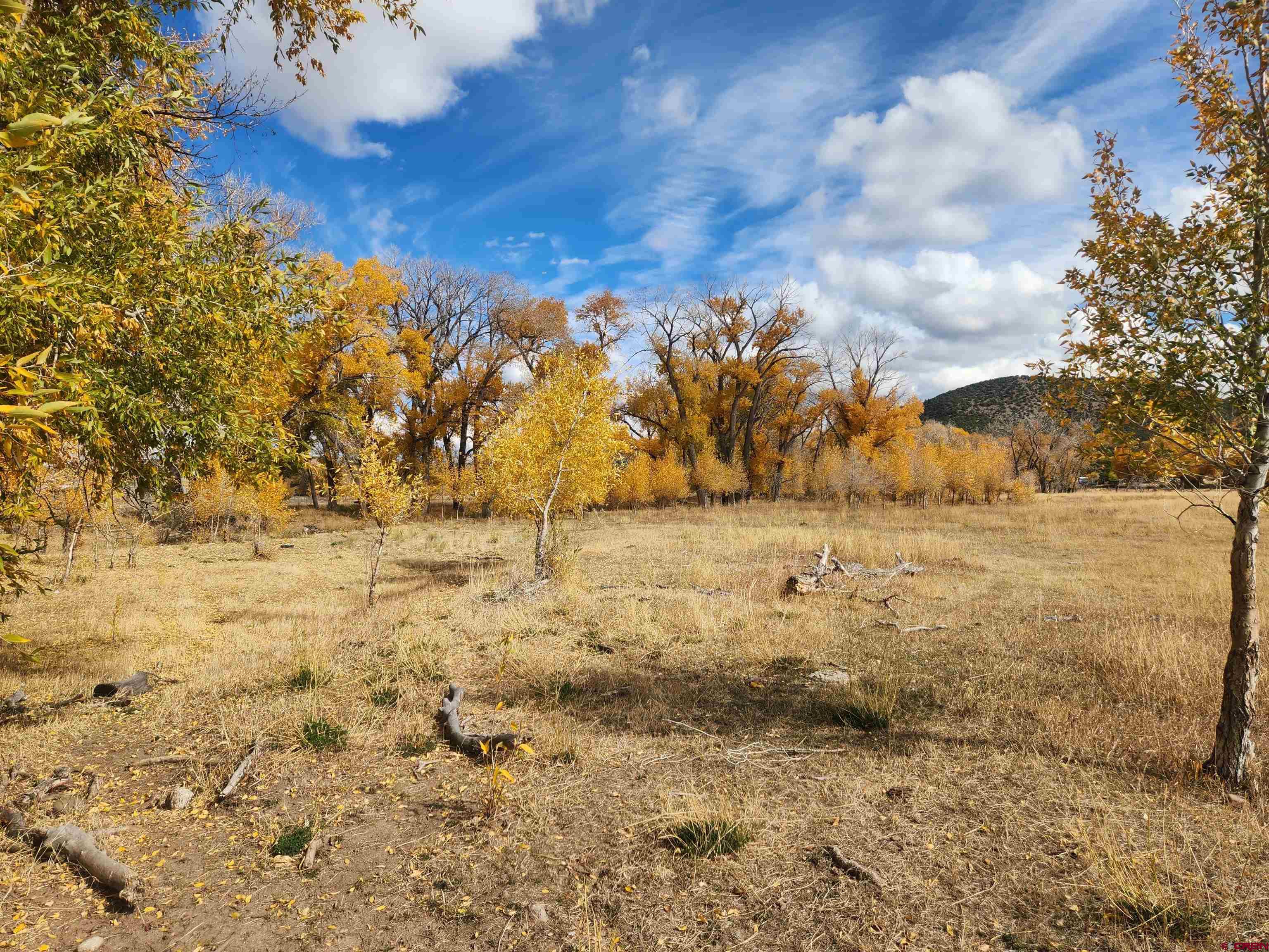 23227 County Road J.2 San Luis, CO 81152 - Photo 9 of 16 a view of yard with green space