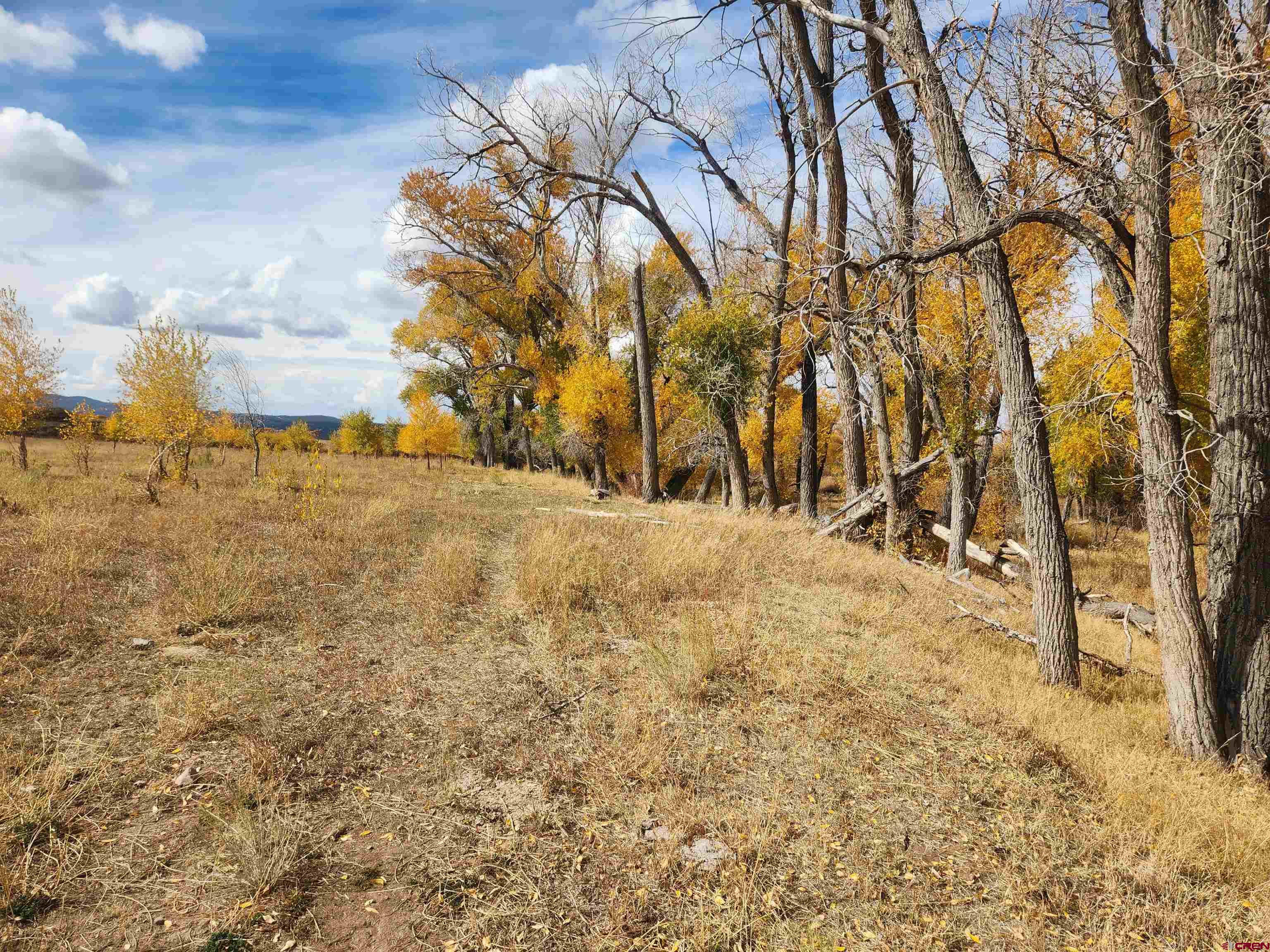 23227 County Road J.2 San Luis, CO 81152 - Photo 10 of 16