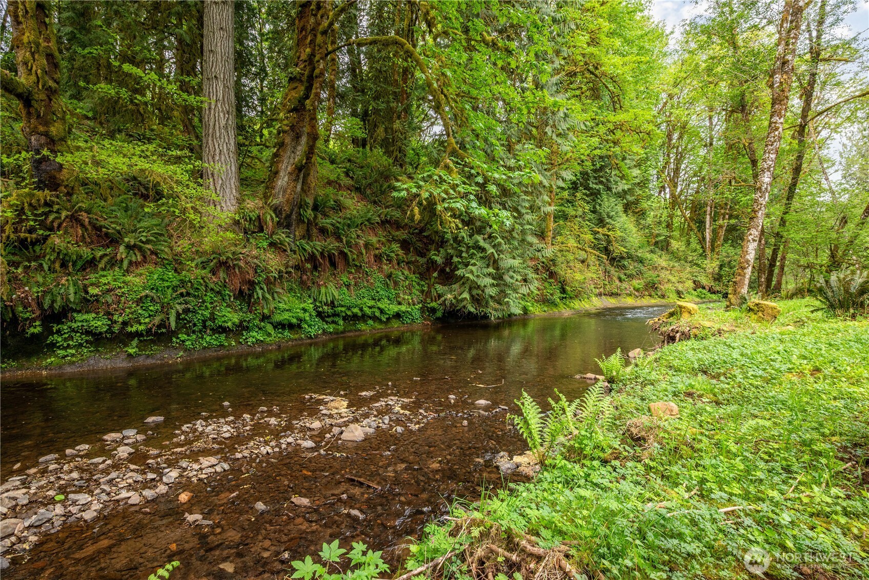 1975 Coal Creek Road Longview, WA 98632 - Photo 4 of 35 a view of a lake with a tree