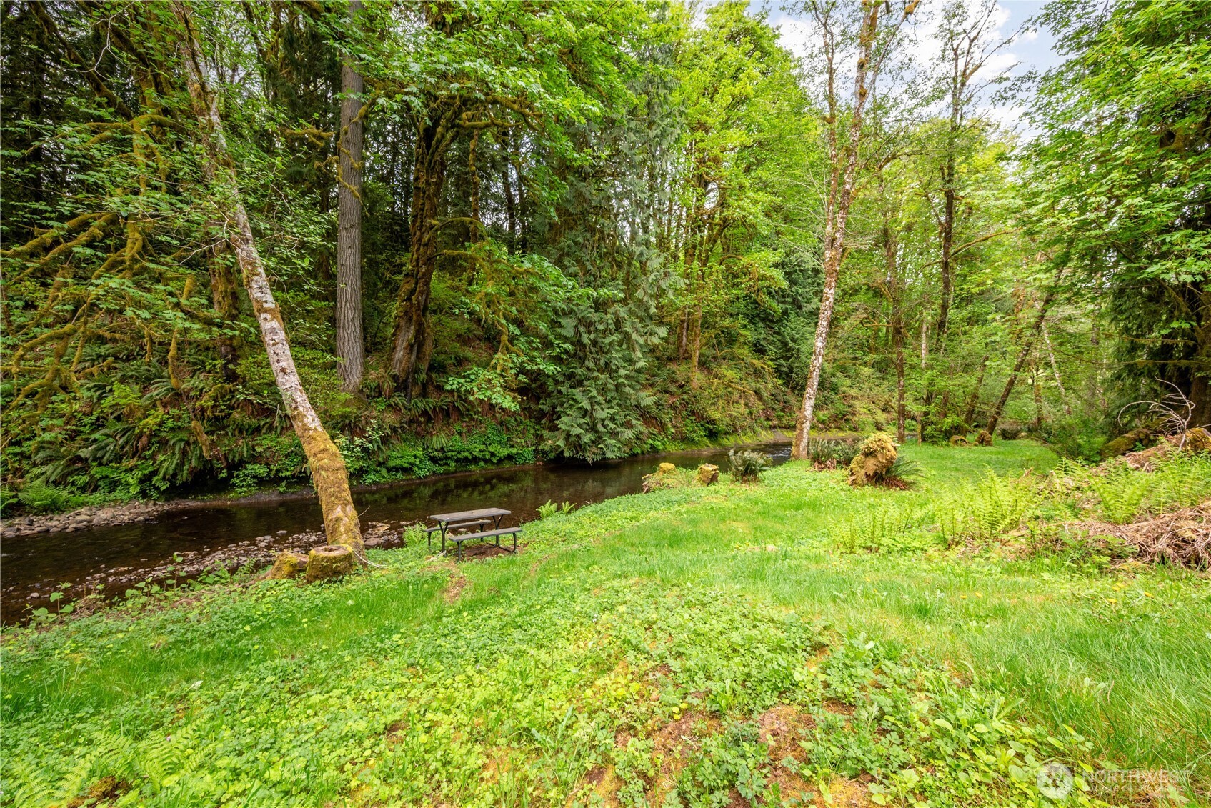 1975 Coal Creek Road Longview, WA 98632 - Photo 8 of 35 a view of outdoor space and yard