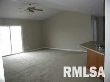 75 Moore Road Eldorado, IL 62930 - Photo 2 of 5