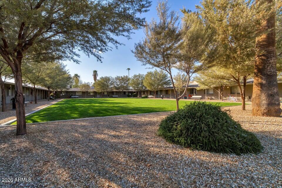 6819 North 12th Street, Unit 2 Phoenix, AZ 85014 - Photo 12 of 17 a view of a park with large trees