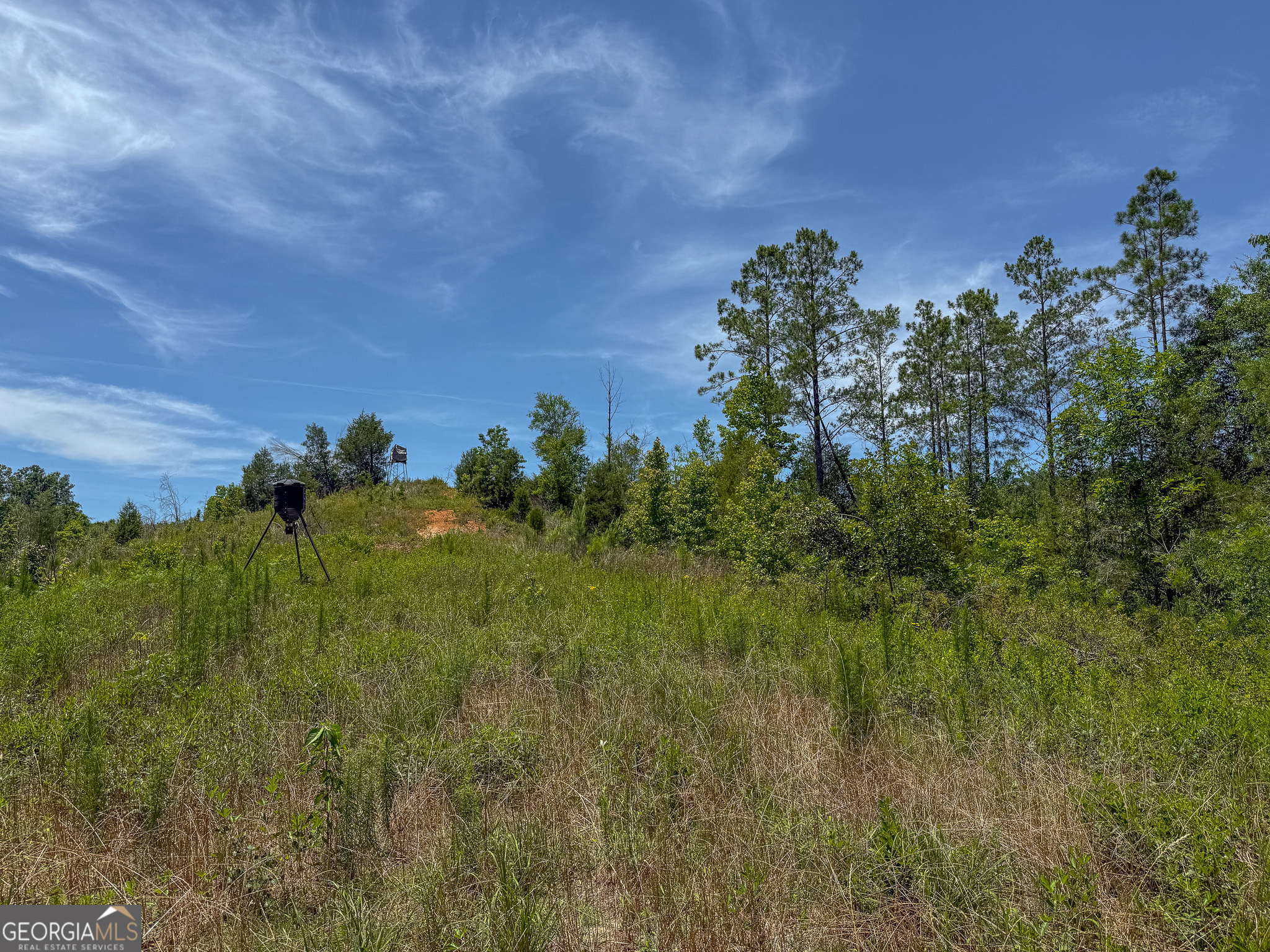 6687 Green Grove Road Lumpkin, GA 31815 - Photo 11 of 25