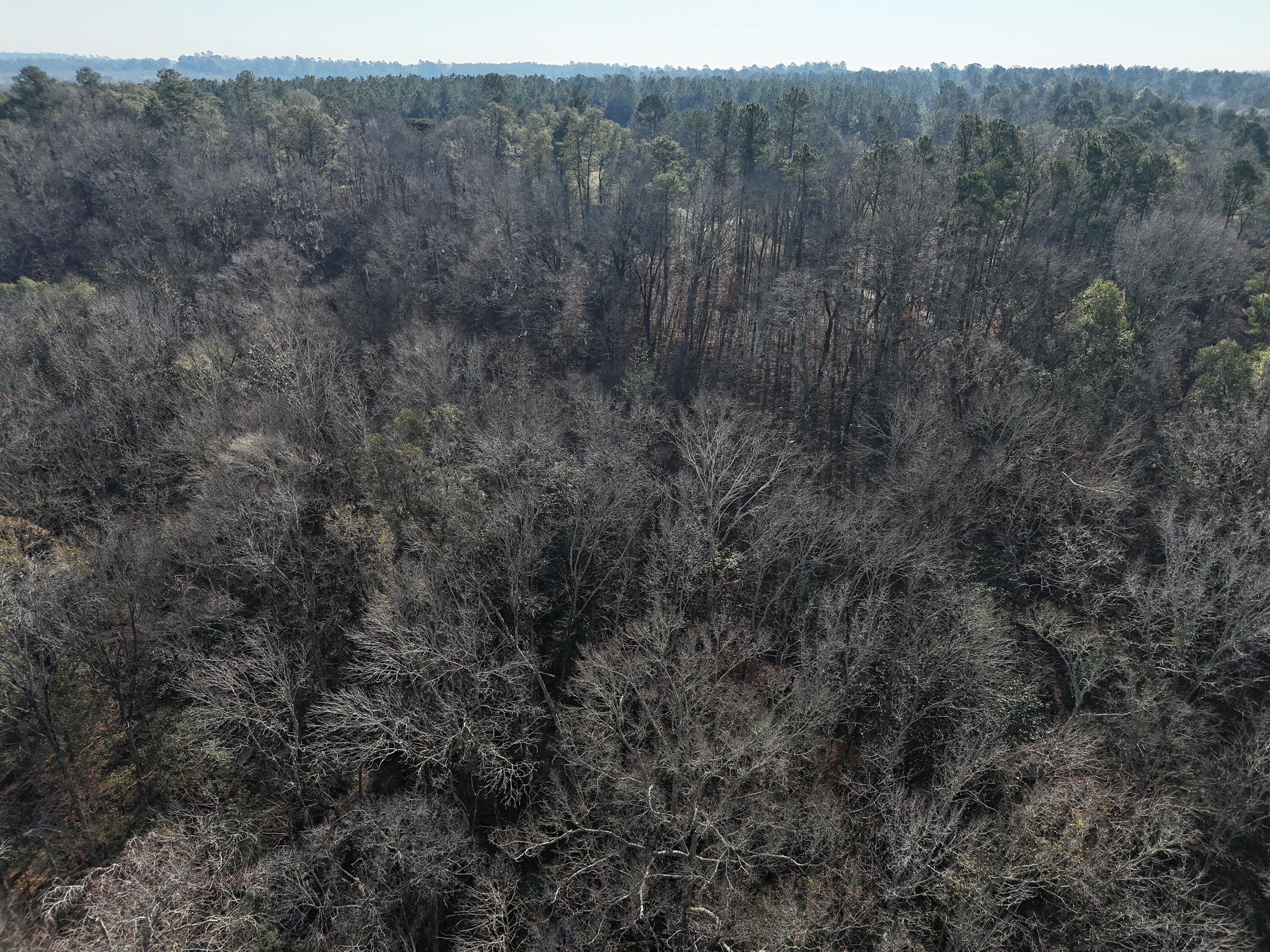 0 Ponderosa Road Waynesboro, GA 30830 - Photo 11 of 45 DJI_20260123002844_0041_D
