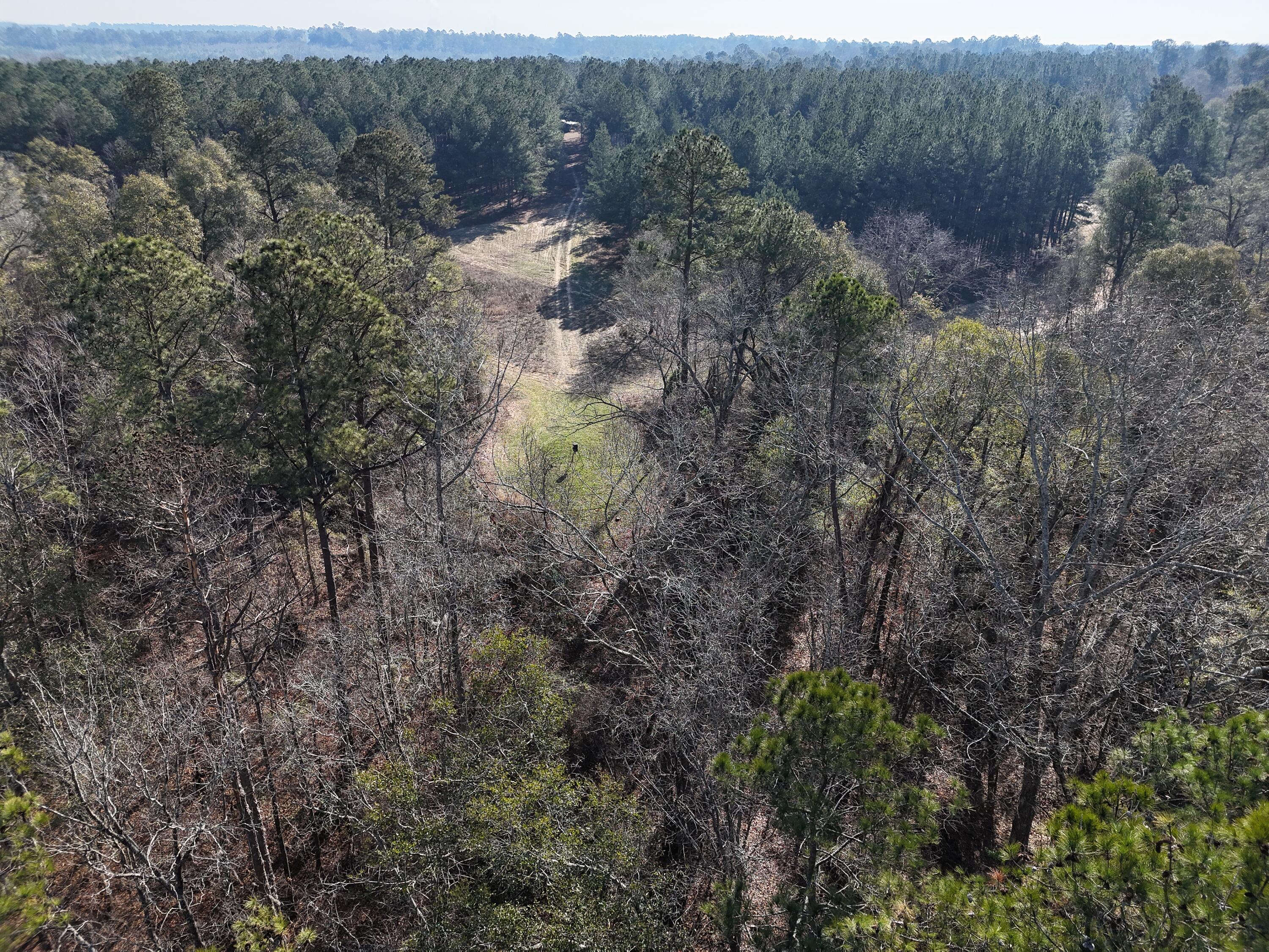 0 Ponderosa Road Waynesboro, GA 30830 - Photo 12 of 45 DJI_20260123002920_0042_D