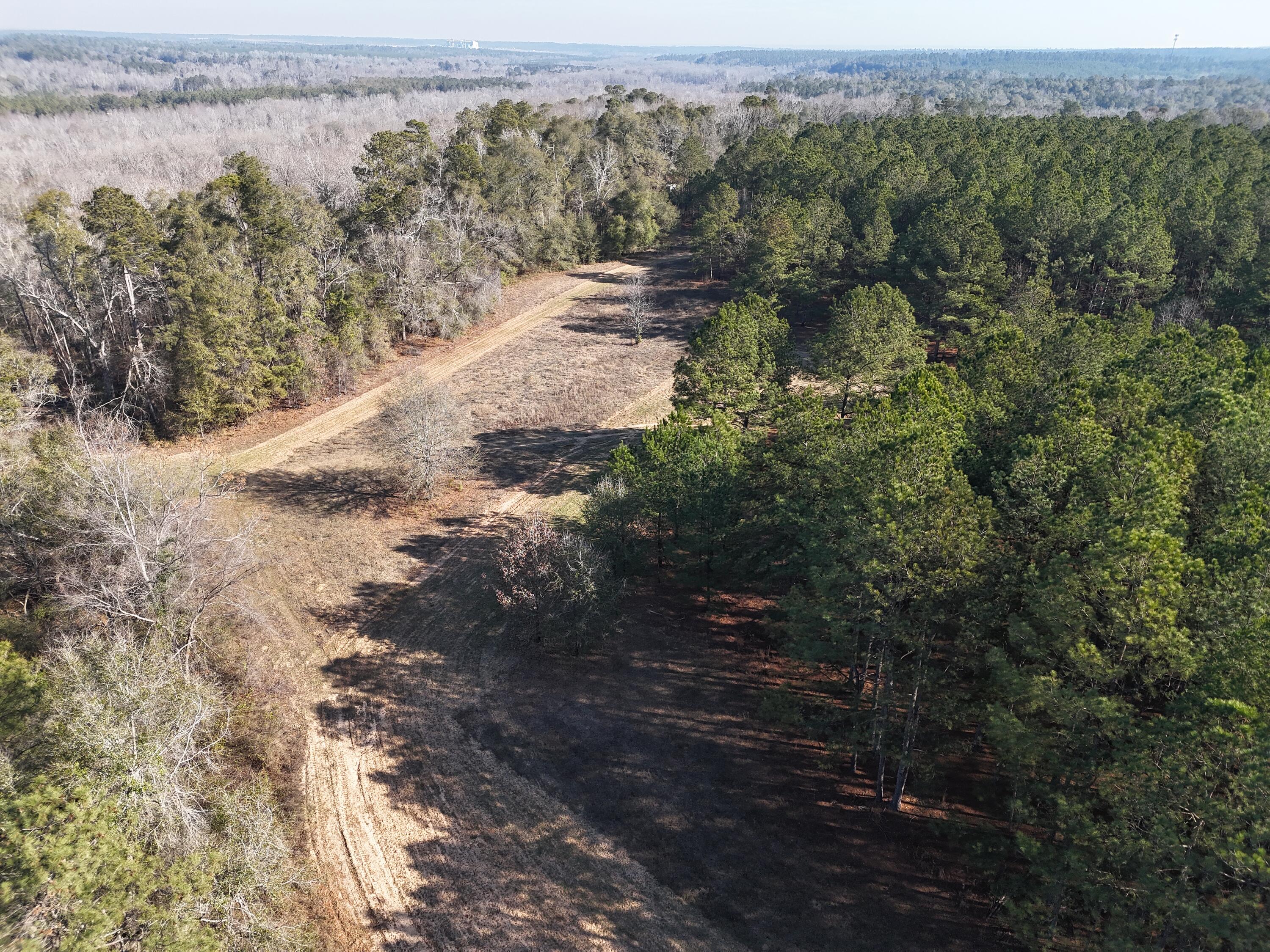 0 Ponderosa Road Waynesboro, GA 30830 - Photo 13 of 45 DJI_20260123003057_0046_D