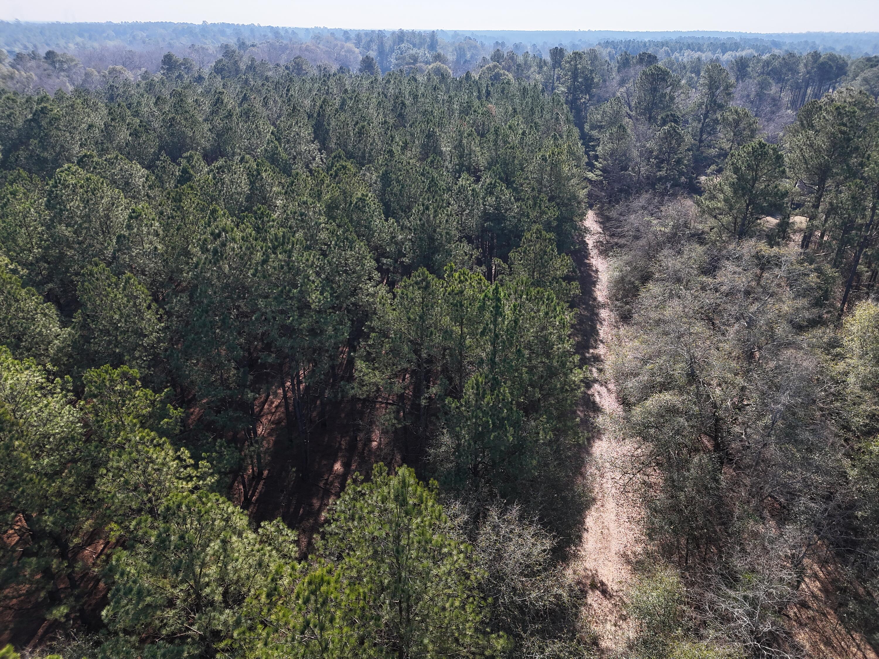 0 Ponderosa Road Waynesboro, GA 30830 - Photo 17 of 45 DJI_20260123003132_0050_D