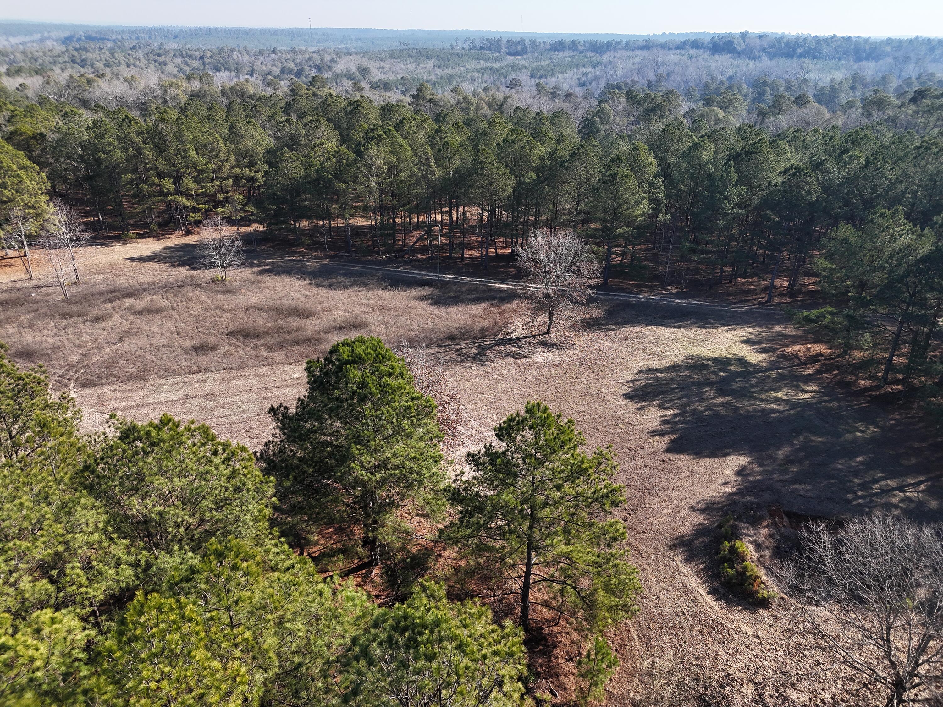 0 Ponderosa Road Waynesboro, GA 30830 - Photo 18 of 45 DJI_20260123003142_0051_D