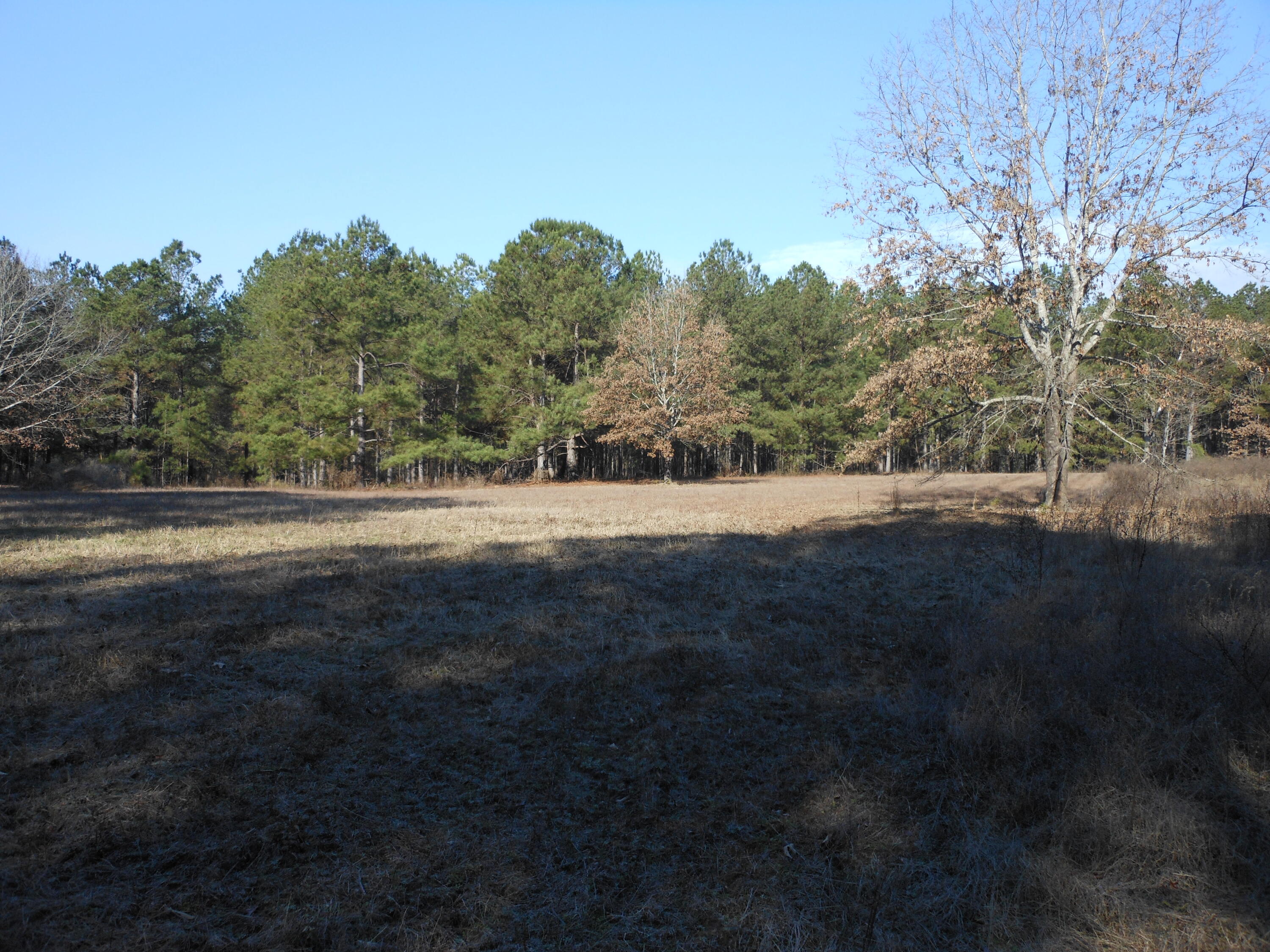 0 Ponderosa Road Waynesboro, GA 30830 - Photo 19 of 45 DSCN0450