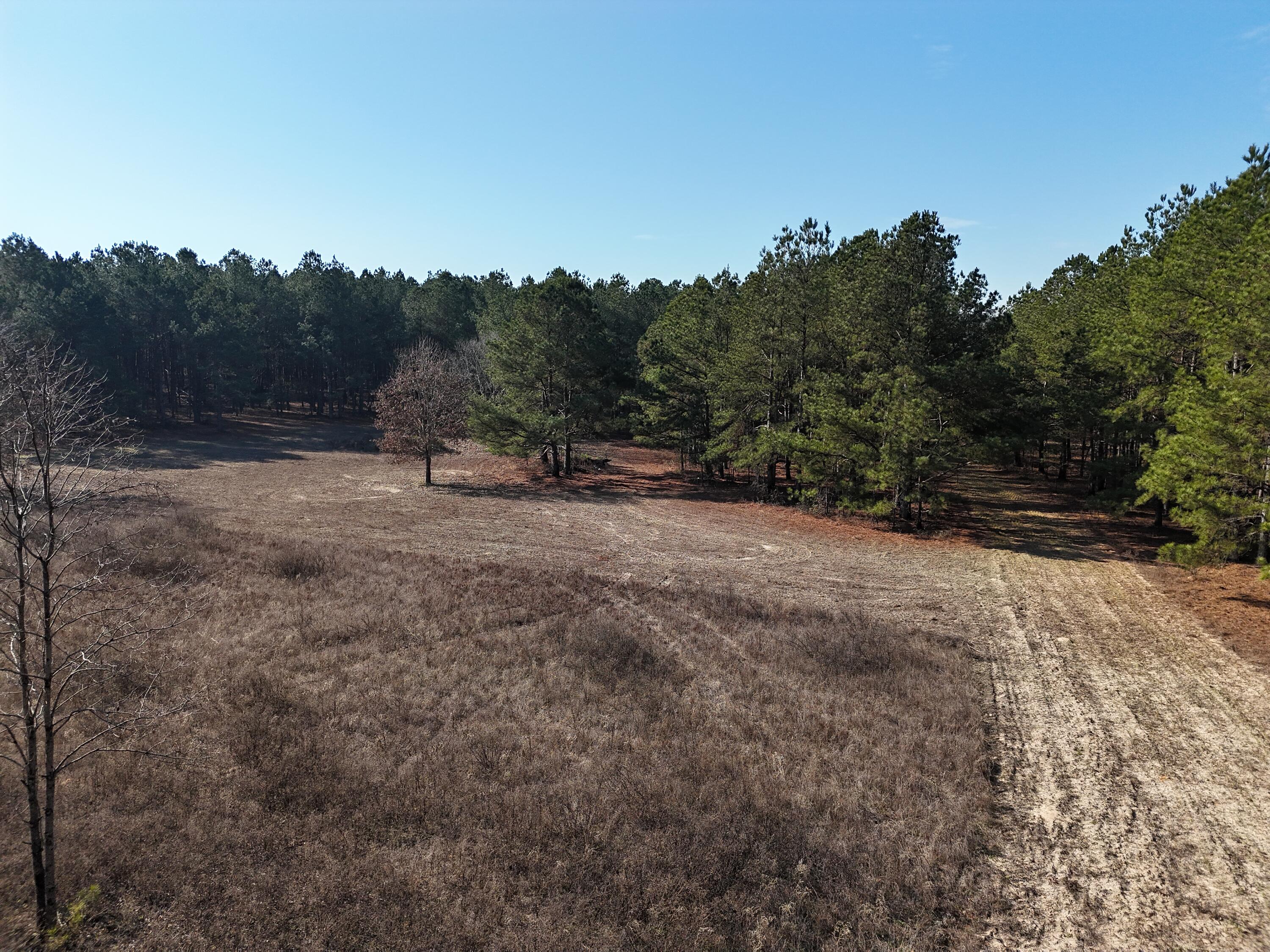 0 Ponderosa Road Waynesboro, GA 30830 - Photo 2 of 45 DJI_20260123002518_0030_D