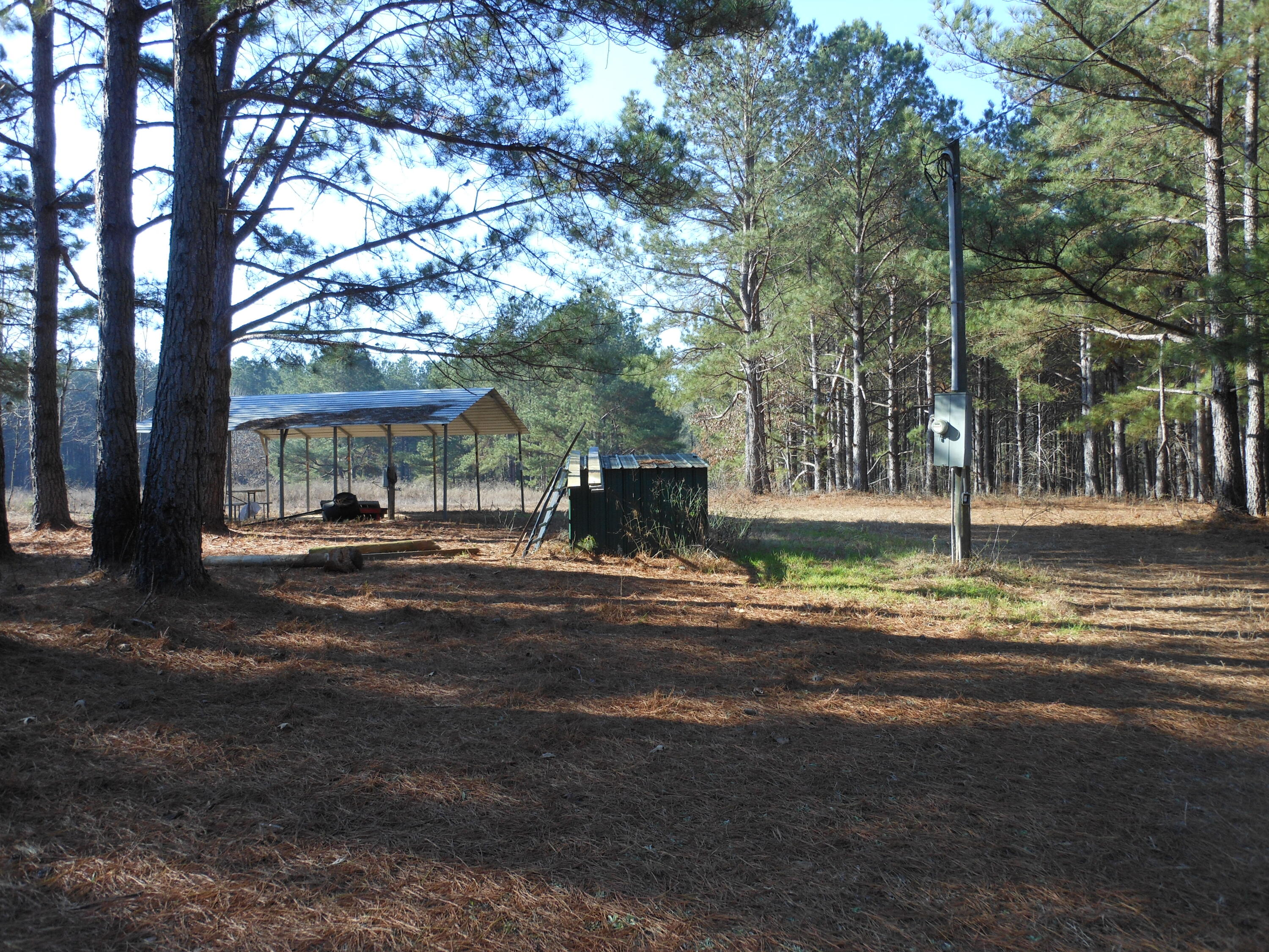 0 Ponderosa Road Waynesboro, GA 30830 - Photo 21 of 45 DSCN0452