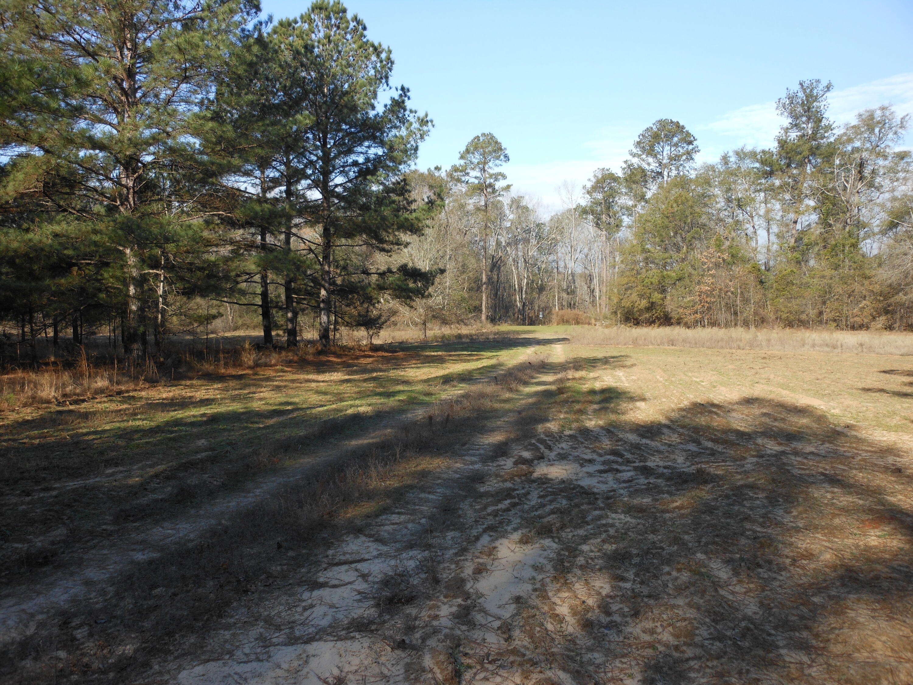 0 Ponderosa Road Waynesboro, GA 30830 - Photo 22 of 45 DSCN0453