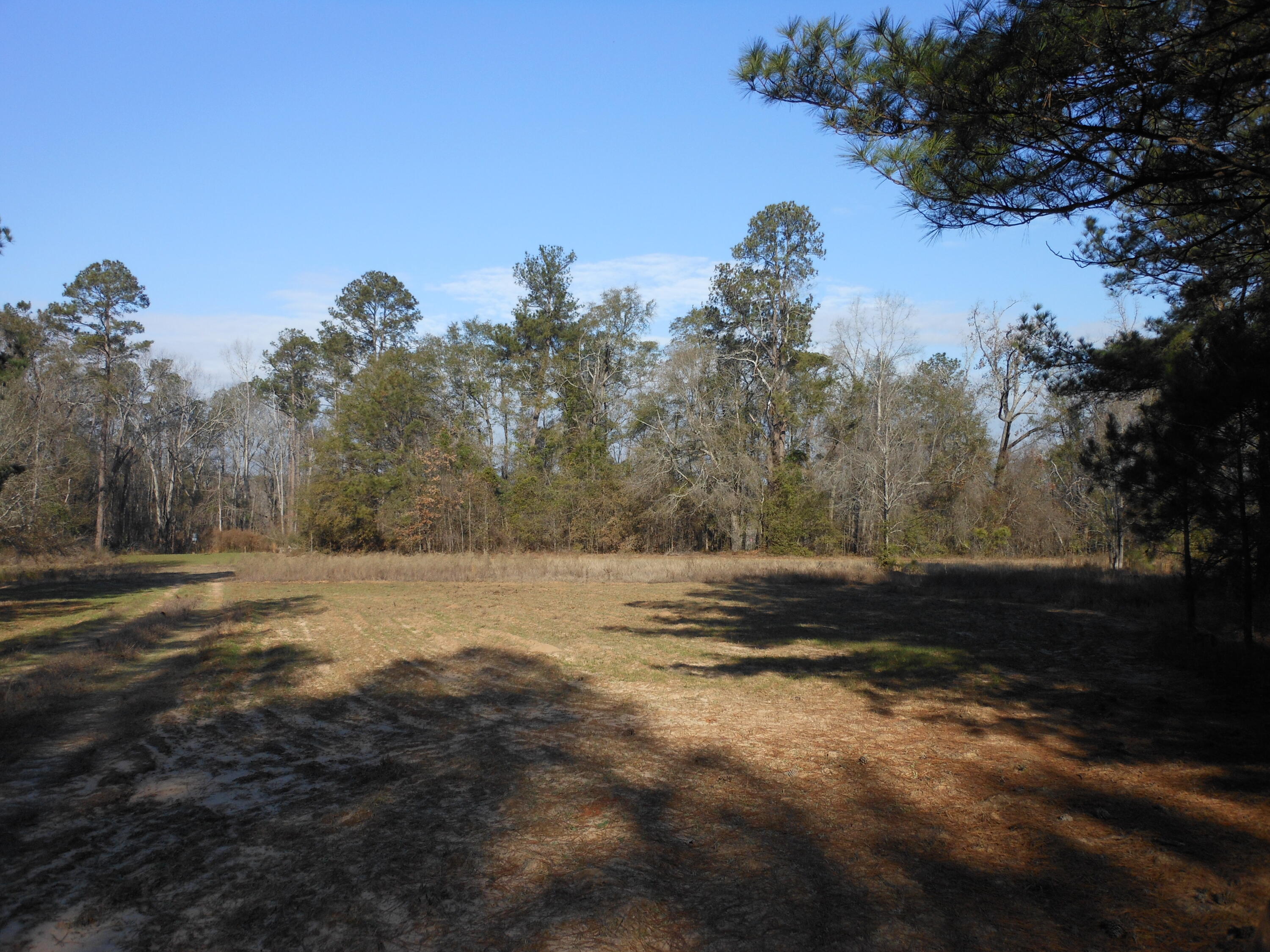 0 Ponderosa Road Waynesboro, GA 30830 - Photo 23 of 45 DSCN0454