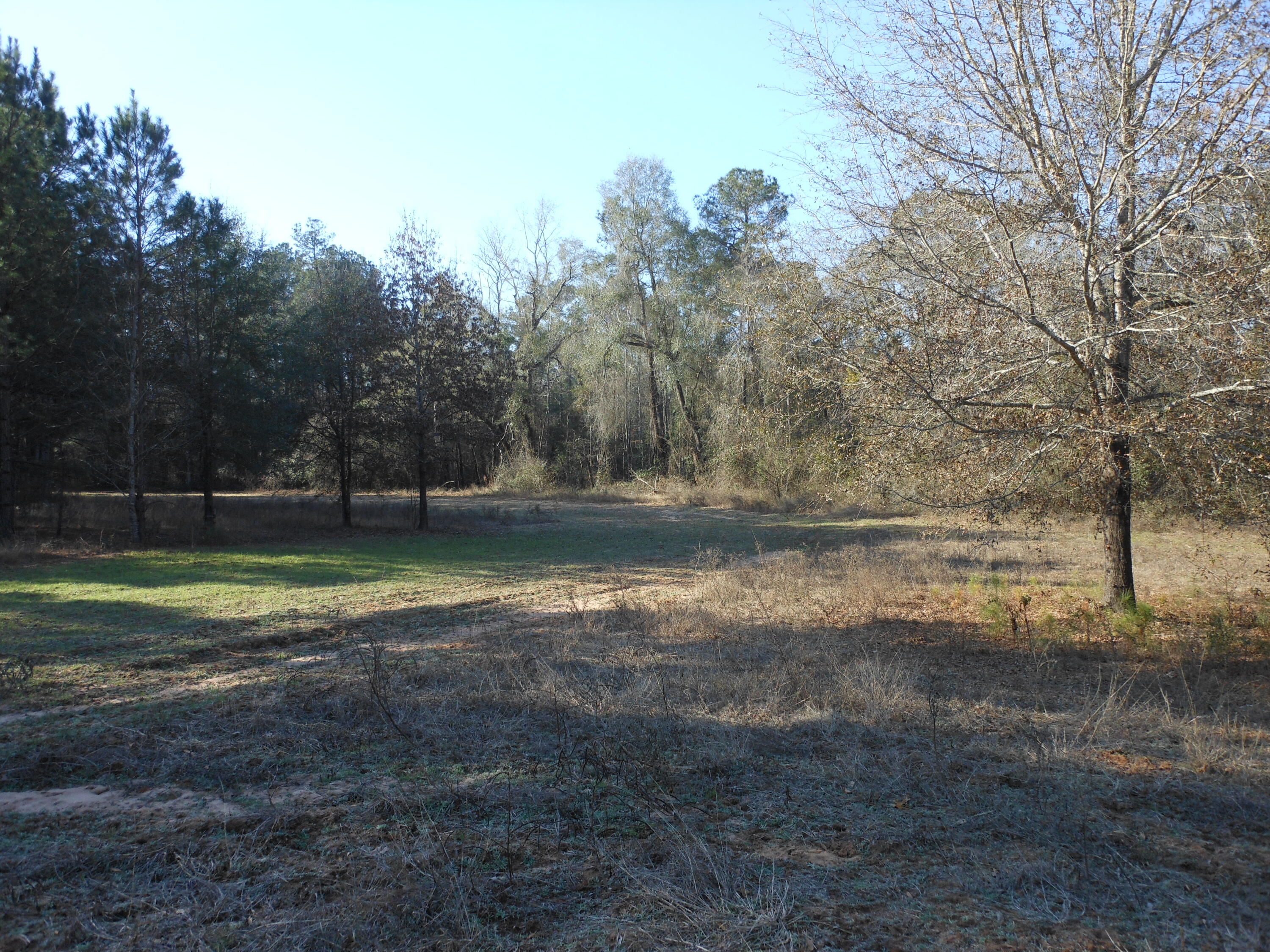 0 Ponderosa Road Waynesboro, GA 30830 - Photo 24 of 45 DSCN0455