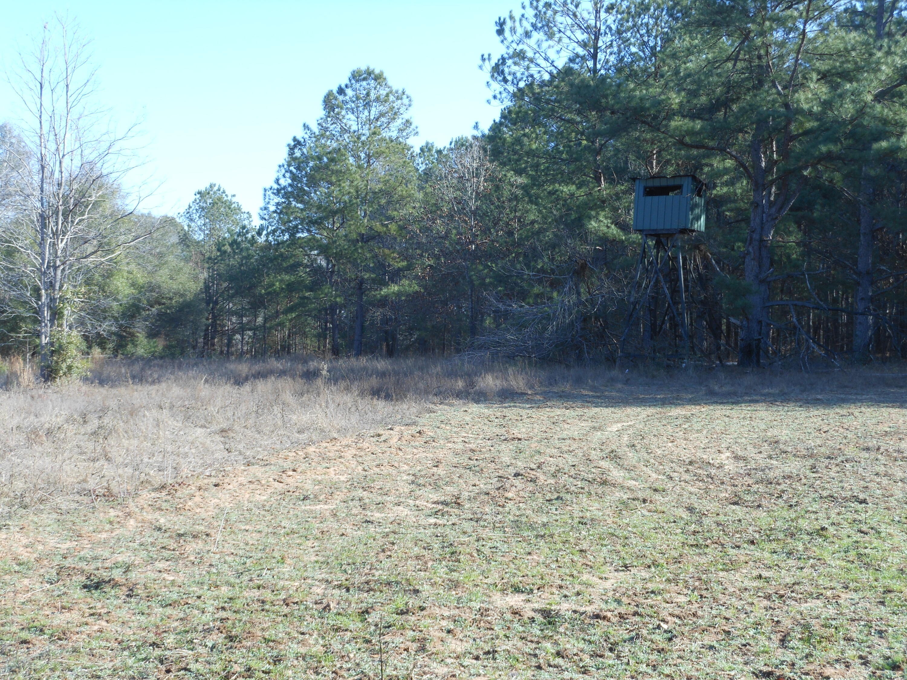0 Ponderosa Road Waynesboro, GA 30830 - Photo 36 of 45 DSCN0467