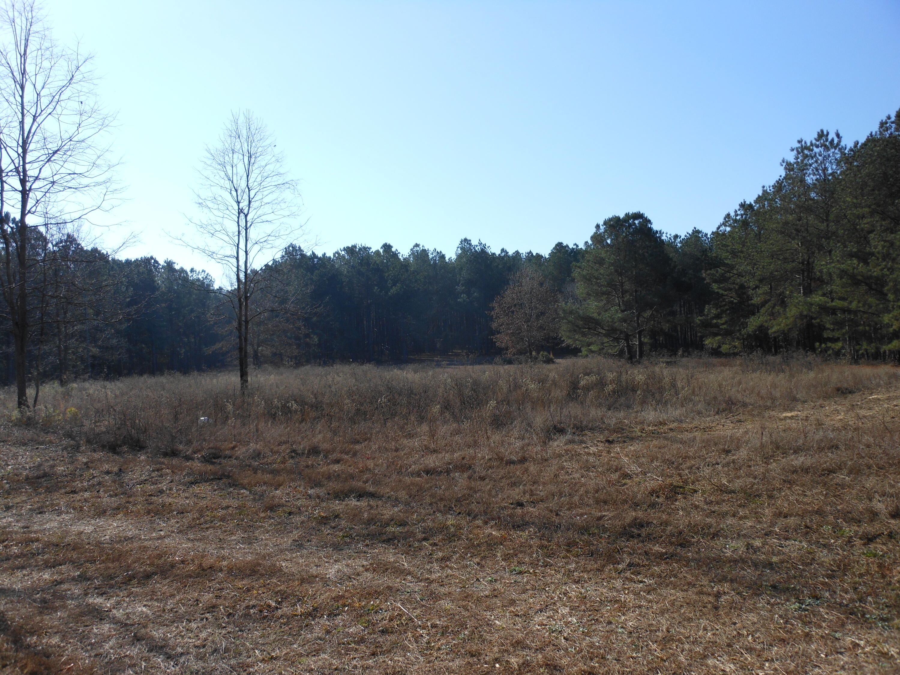 0 Ponderosa Road Waynesboro, GA 30830 - Photo 38 of 45 DSCN0469