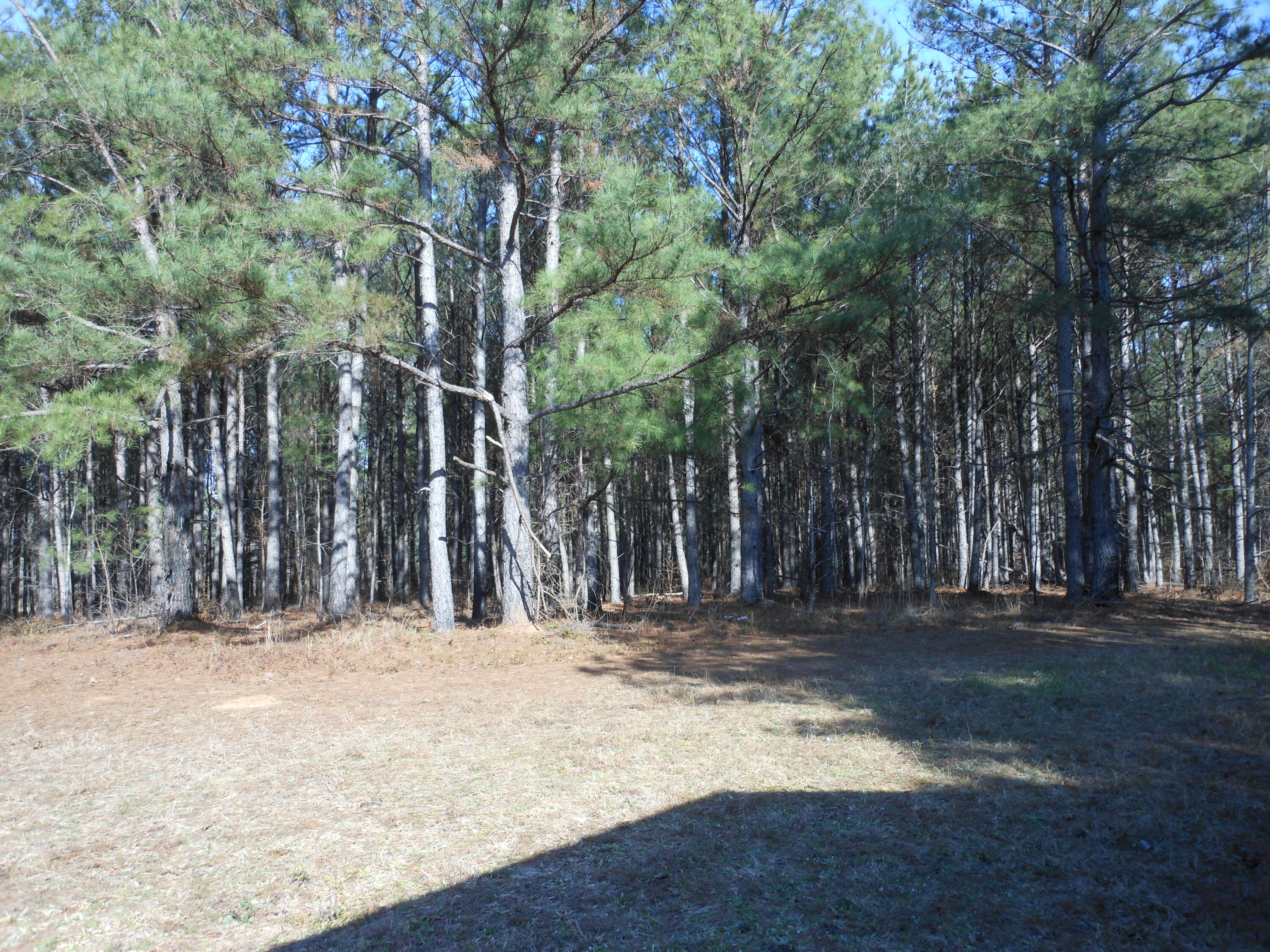 0 Ponderosa Road Waynesboro, GA 30830 - Photo 40 of 45 DSCN0471